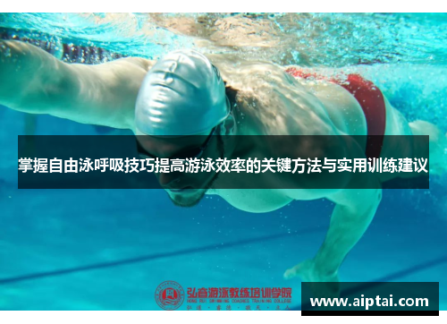 掌握自由泳呼吸技巧提高游泳效率的关键方法与实用训练建议