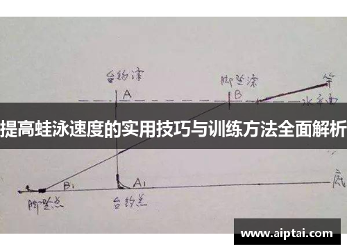 提高蛙泳速度的实用技巧与训练方法全面解析