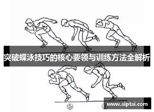 突破蝶泳技巧的核心要领与训练方法全解析