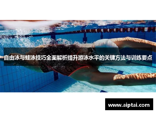 自由泳与蛙泳技巧全面解析提升游泳水平的关键方法与训练要点