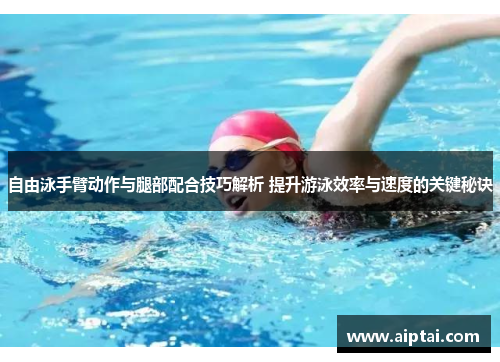 自由泳手臂动作与腿部配合技巧解析 提升游泳效率与速度的关键秘诀