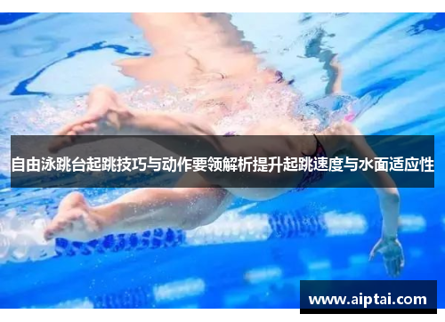 自由泳跳台起跳技巧与动作要领解析提升起跳速度与水面适应性