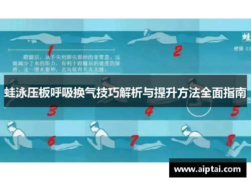 蛙泳压板呼吸换气技巧解析与提升方法全面指南