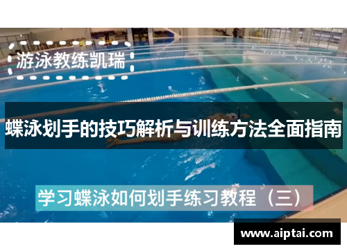 蝶泳划手的技巧解析与训练方法全面指南